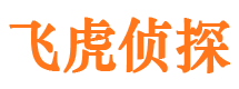 宁陵外遇调查取证